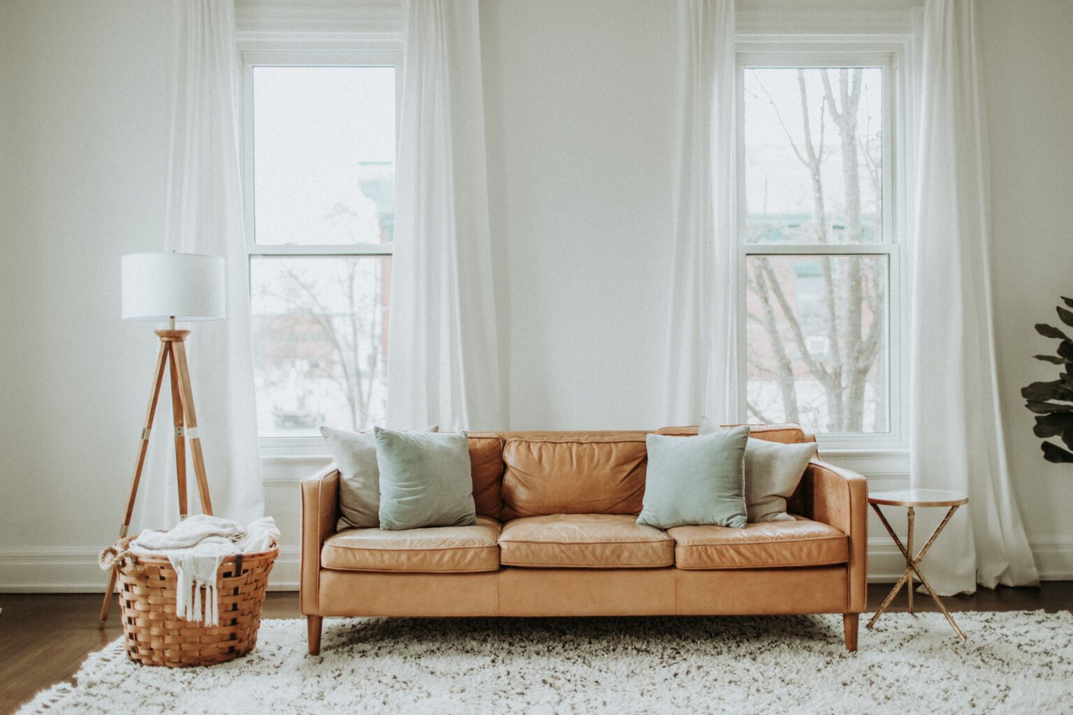 Bright, freshly cleaned living room with a leather sofa and natural light